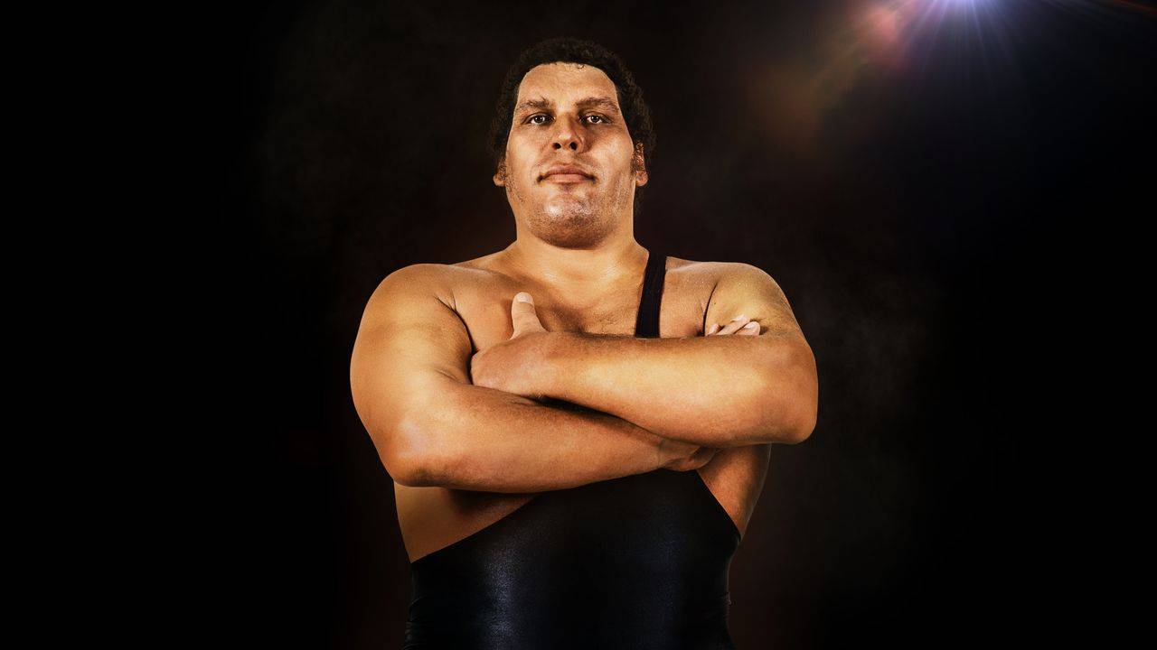 20-facts-about-andre-the-giant