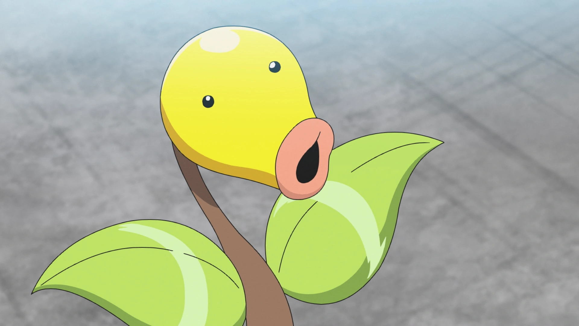 20-facts-about-bellsprout