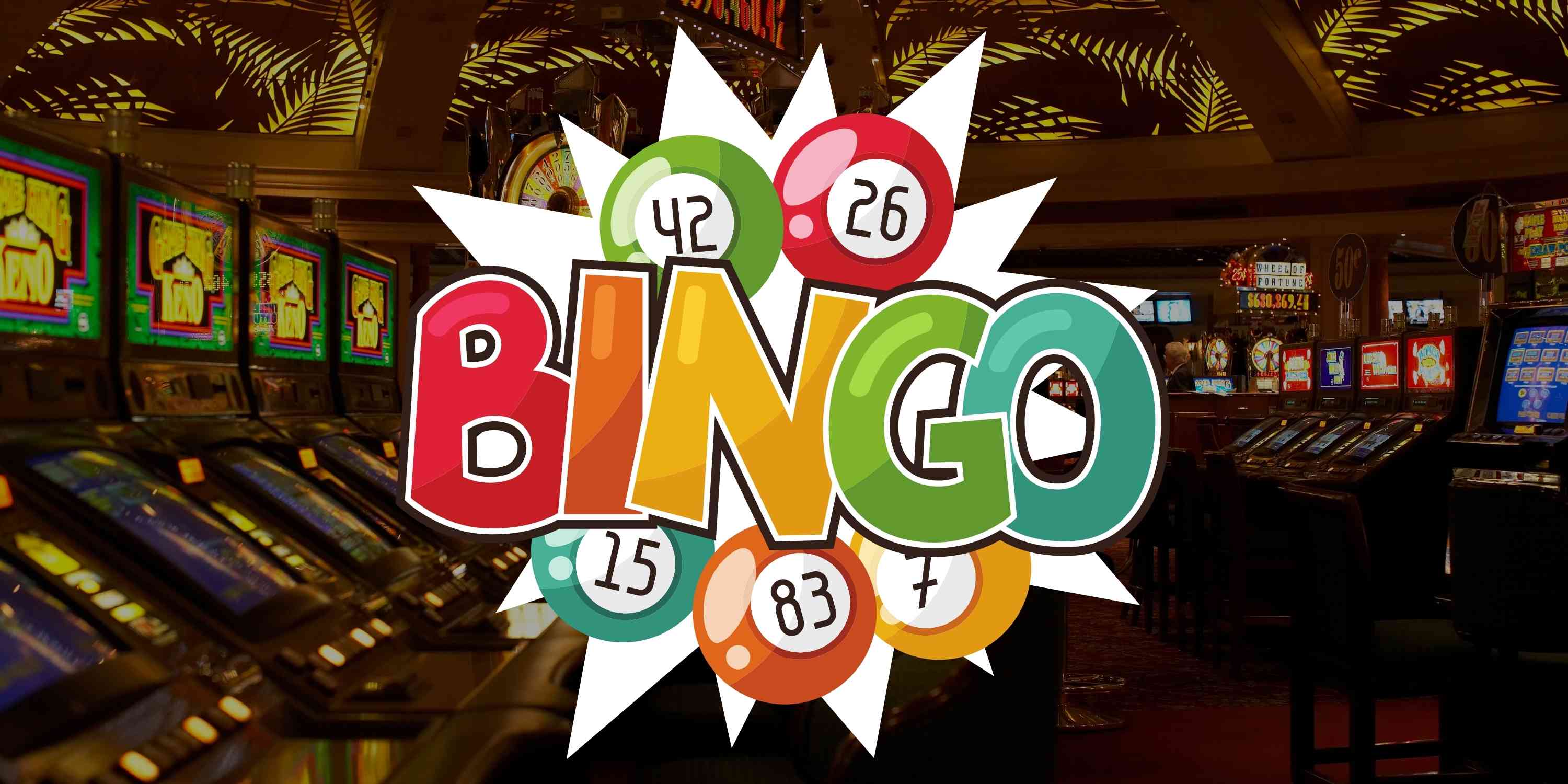 20-facts-about-bingo