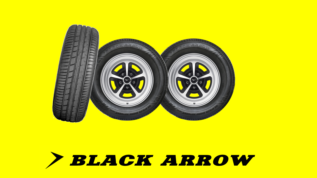 20-facts-about-blackarrow