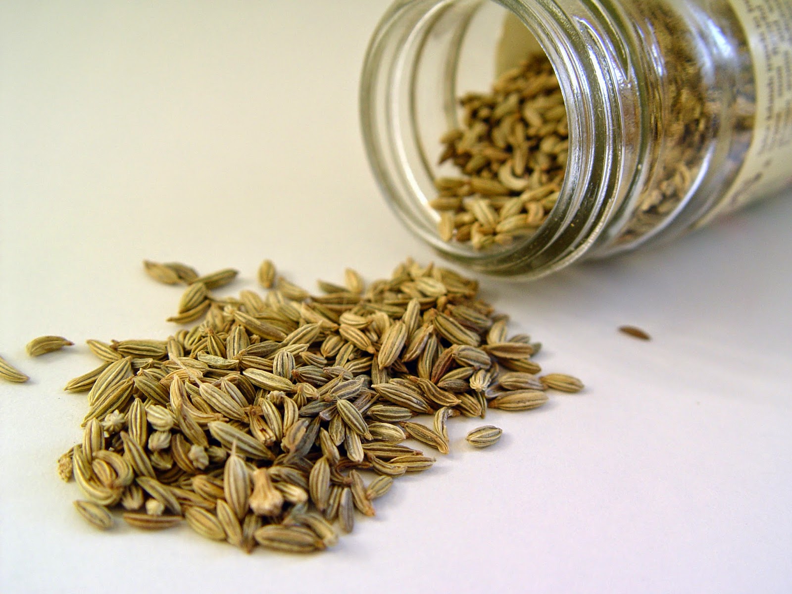 20-facts-about-fennel-seeds