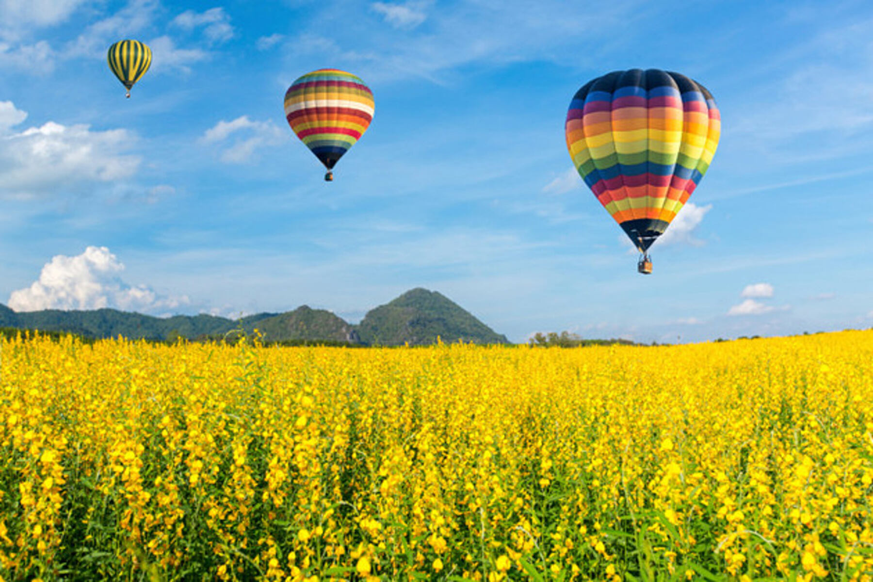 20-facts-about-great-texas-balloon-race