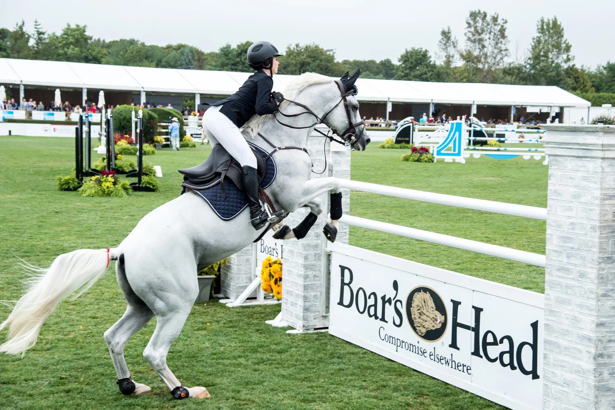 20-facts-about-hampton-classic-horse-show