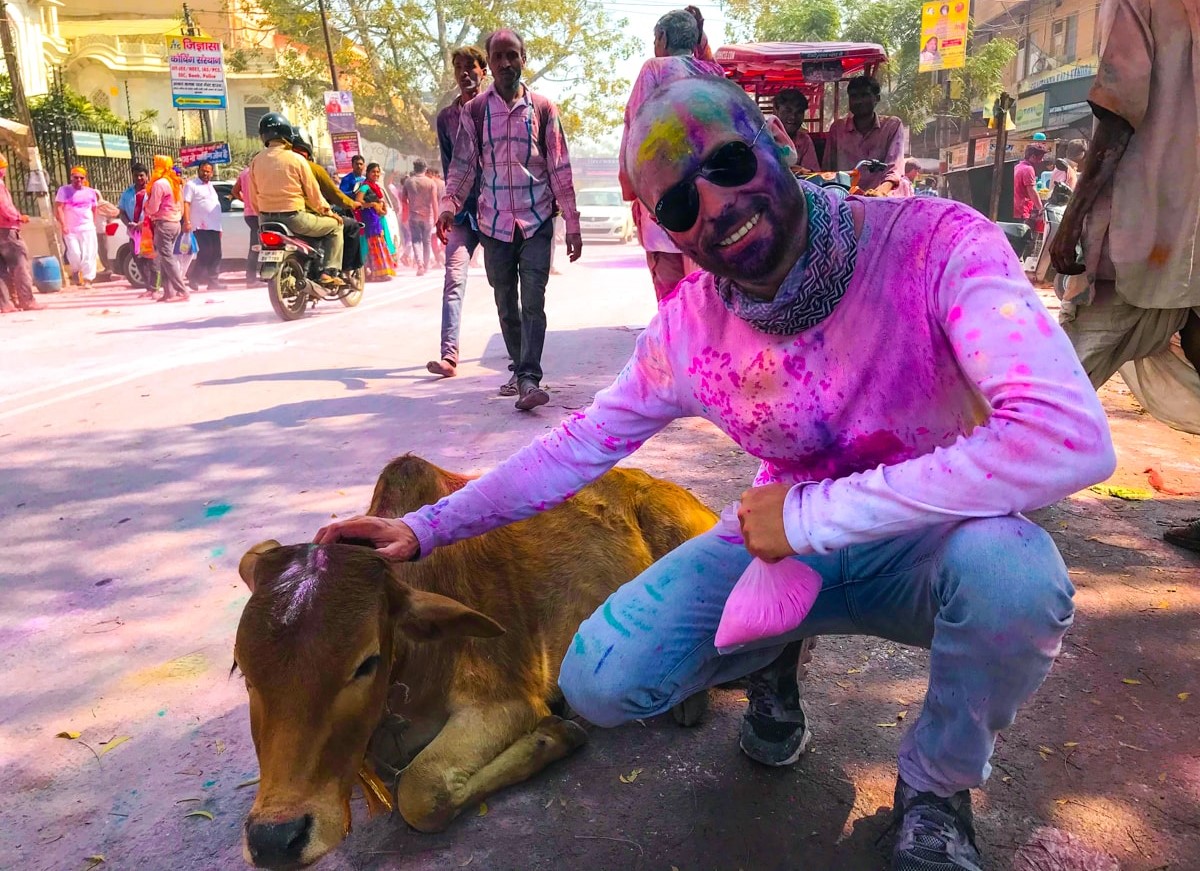 20-facts-about-holi-cow-festival