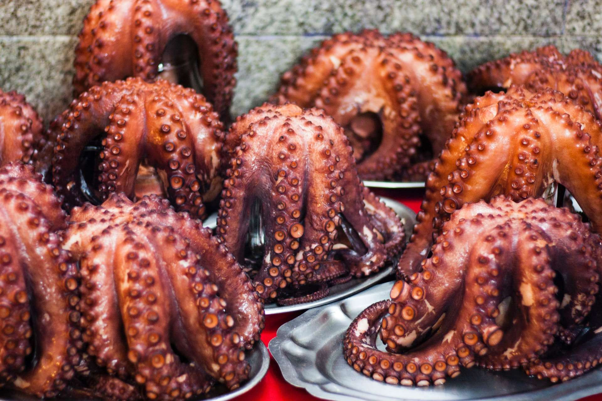 20-facts-about-octopus