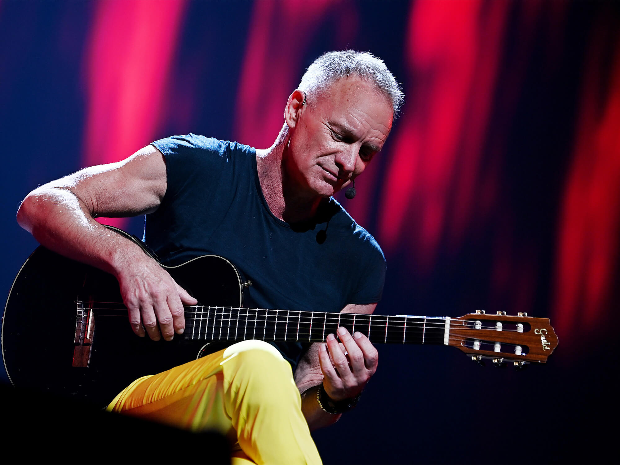 20-facts-about-sting