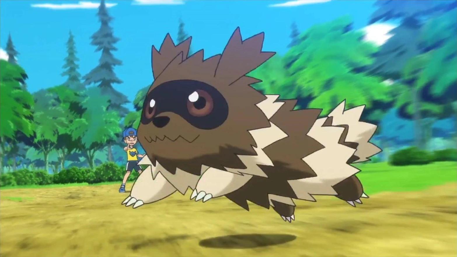 20-facts-about-zigzagoon