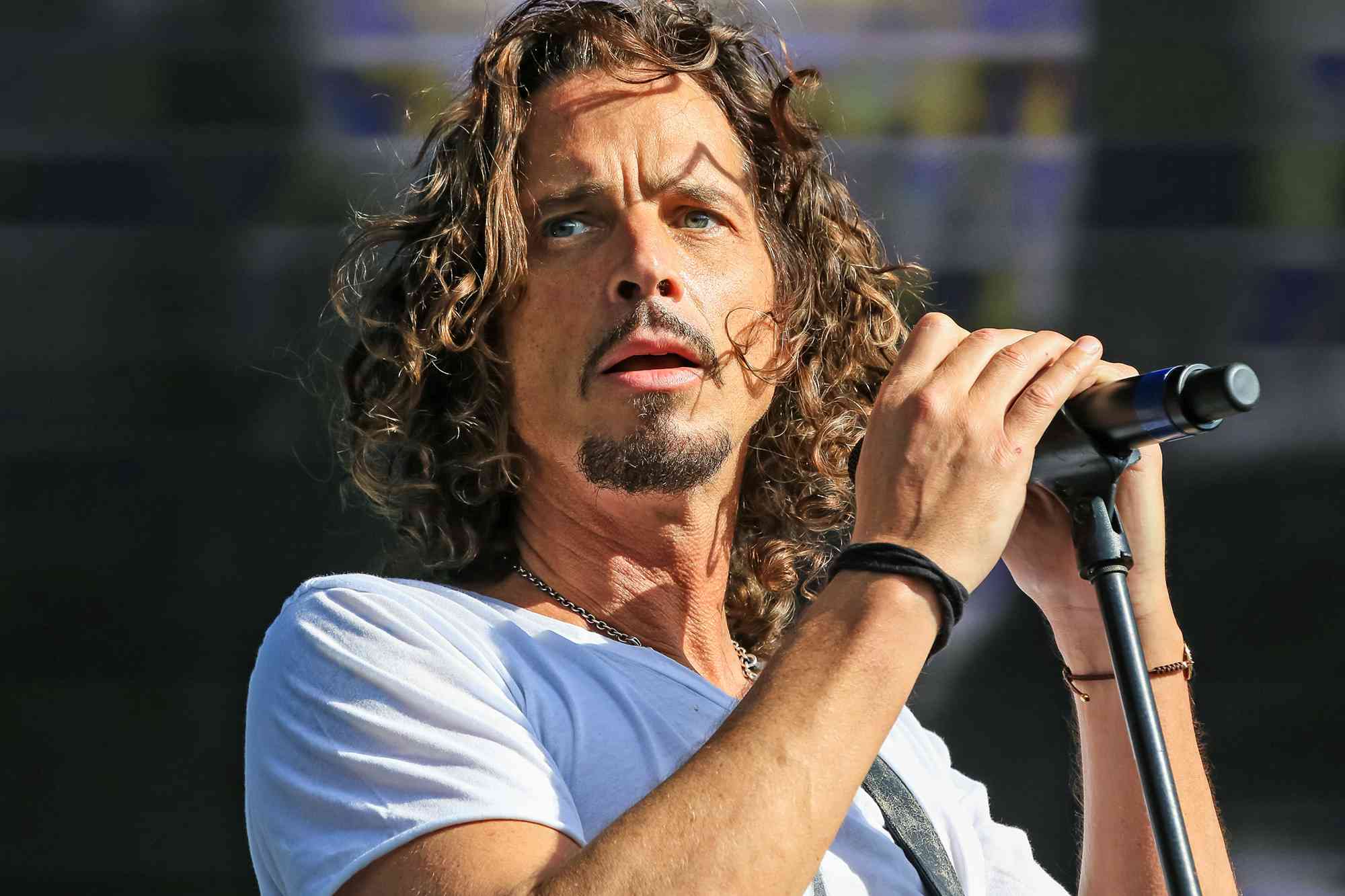 30 Facts About Chris Cornell