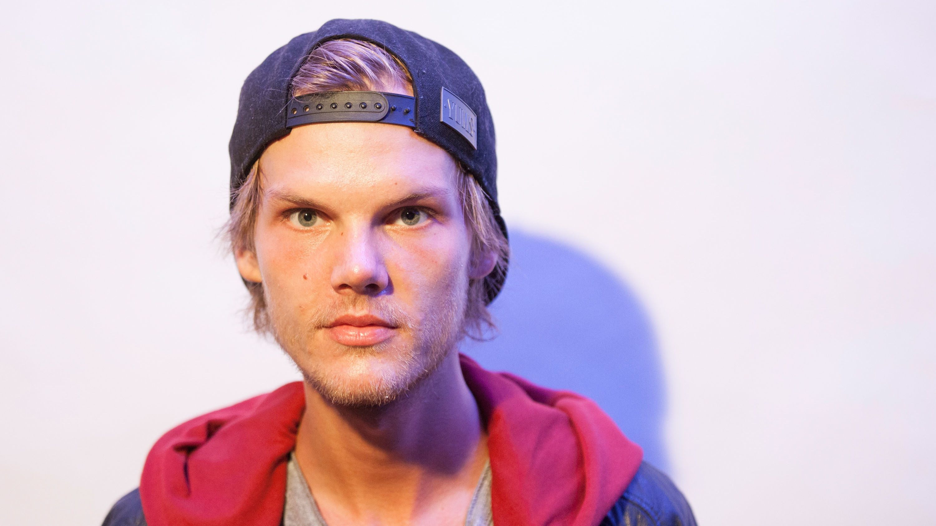 31-facts-about-avicii