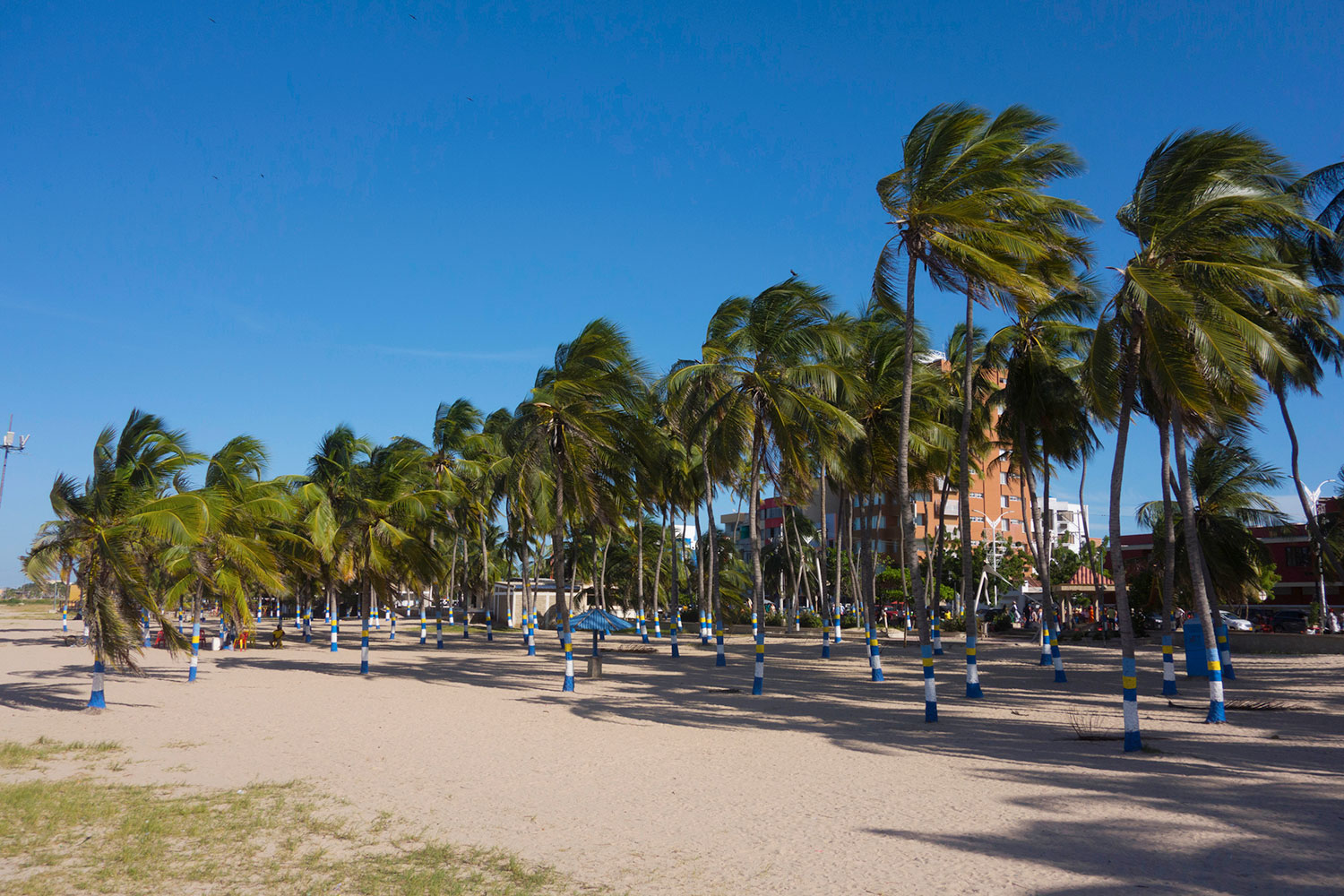 Damas De Compañia En Miami