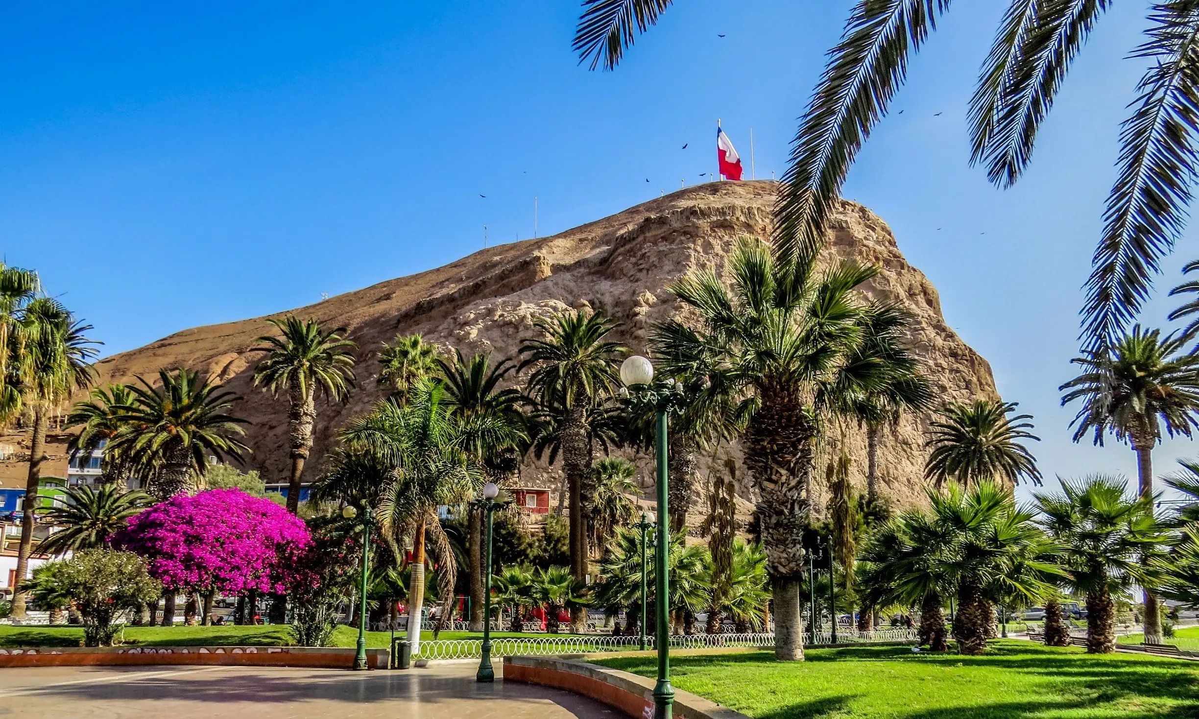 34-facts-about-arica