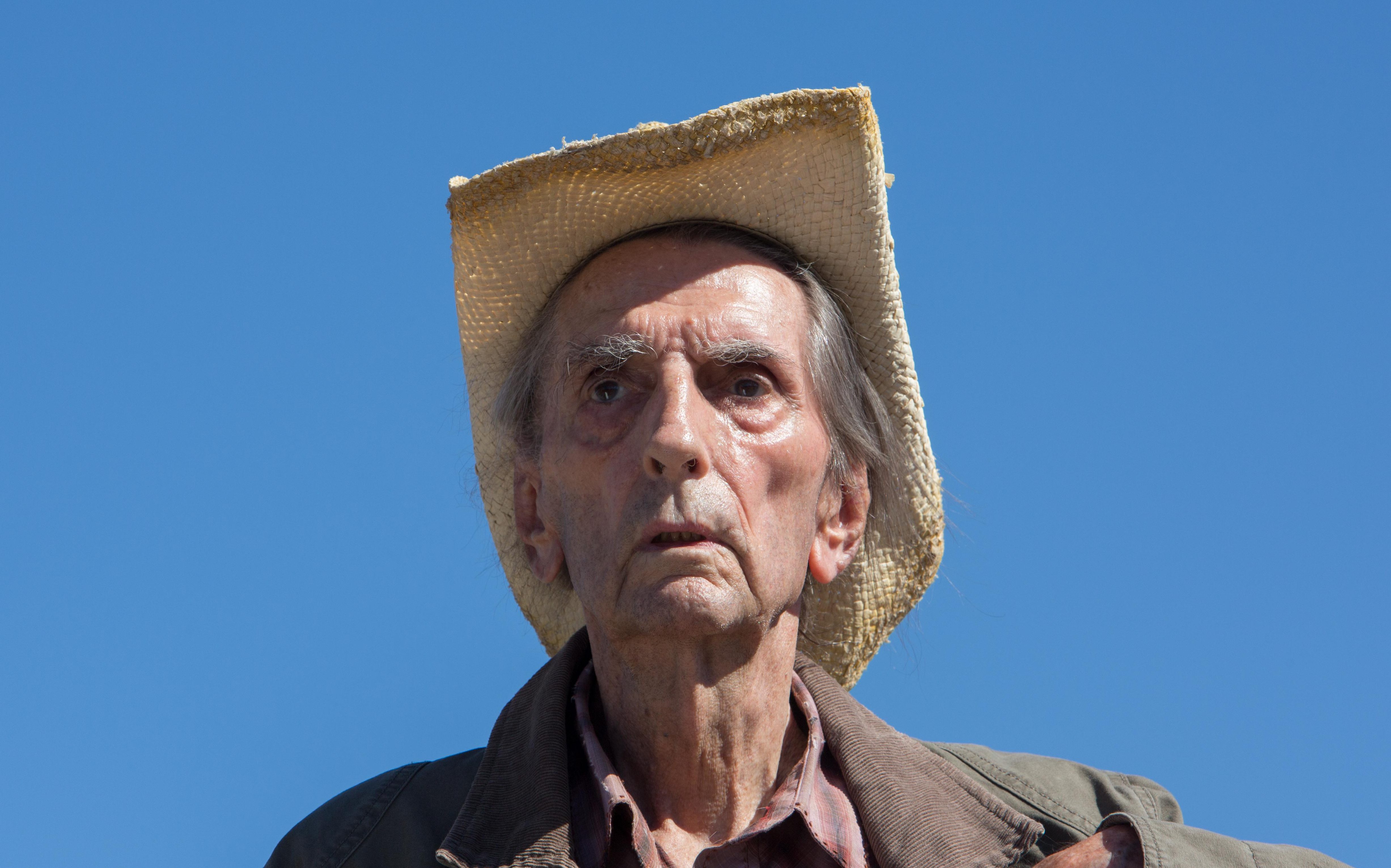 34-facts-about-harry-dean-stanton