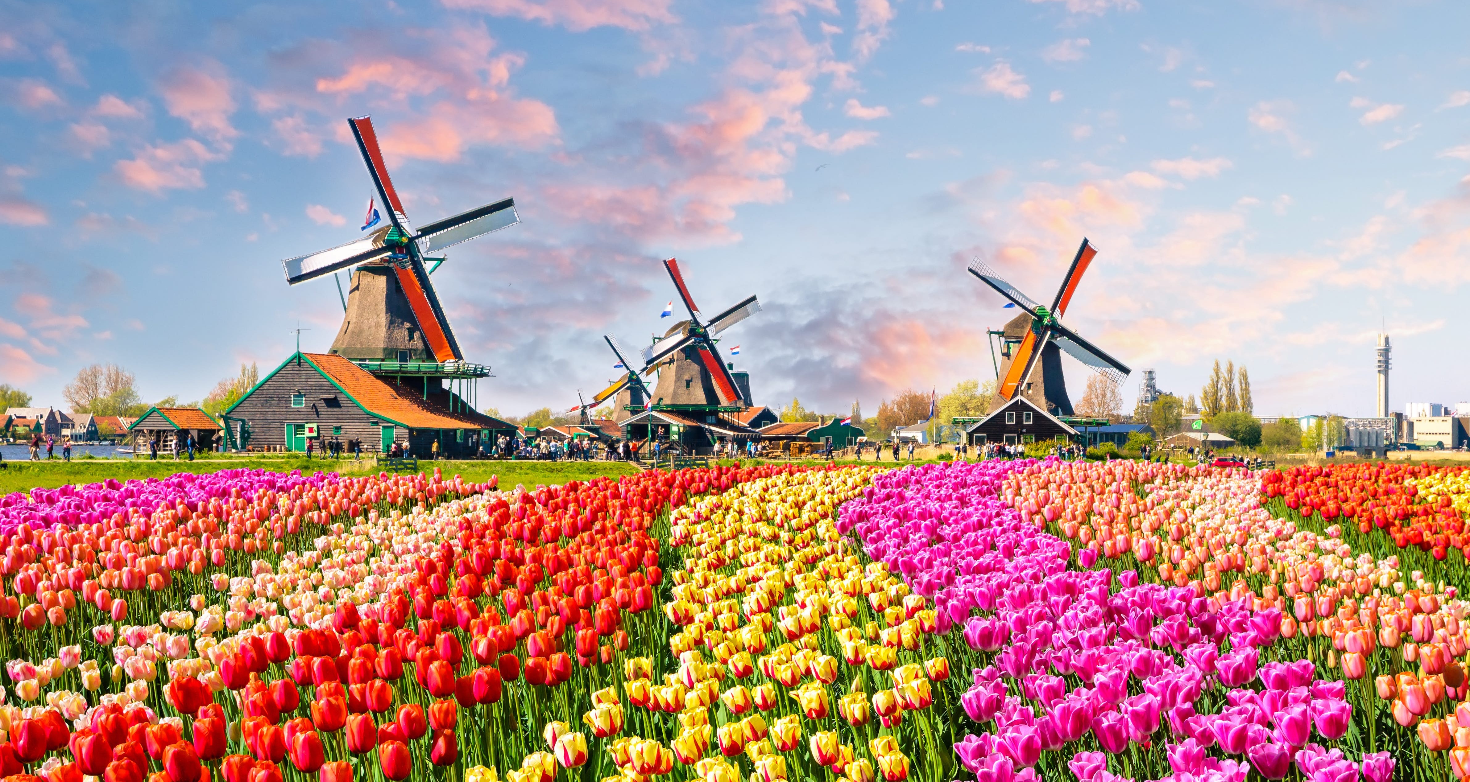 34-facts-about-netherlands