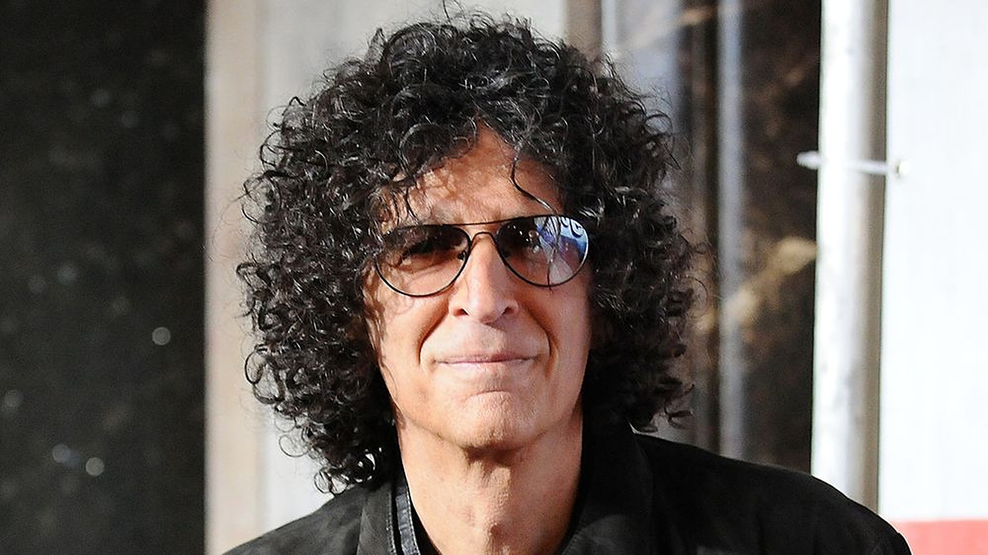 38 Facts about Howard Stern - Facts.net