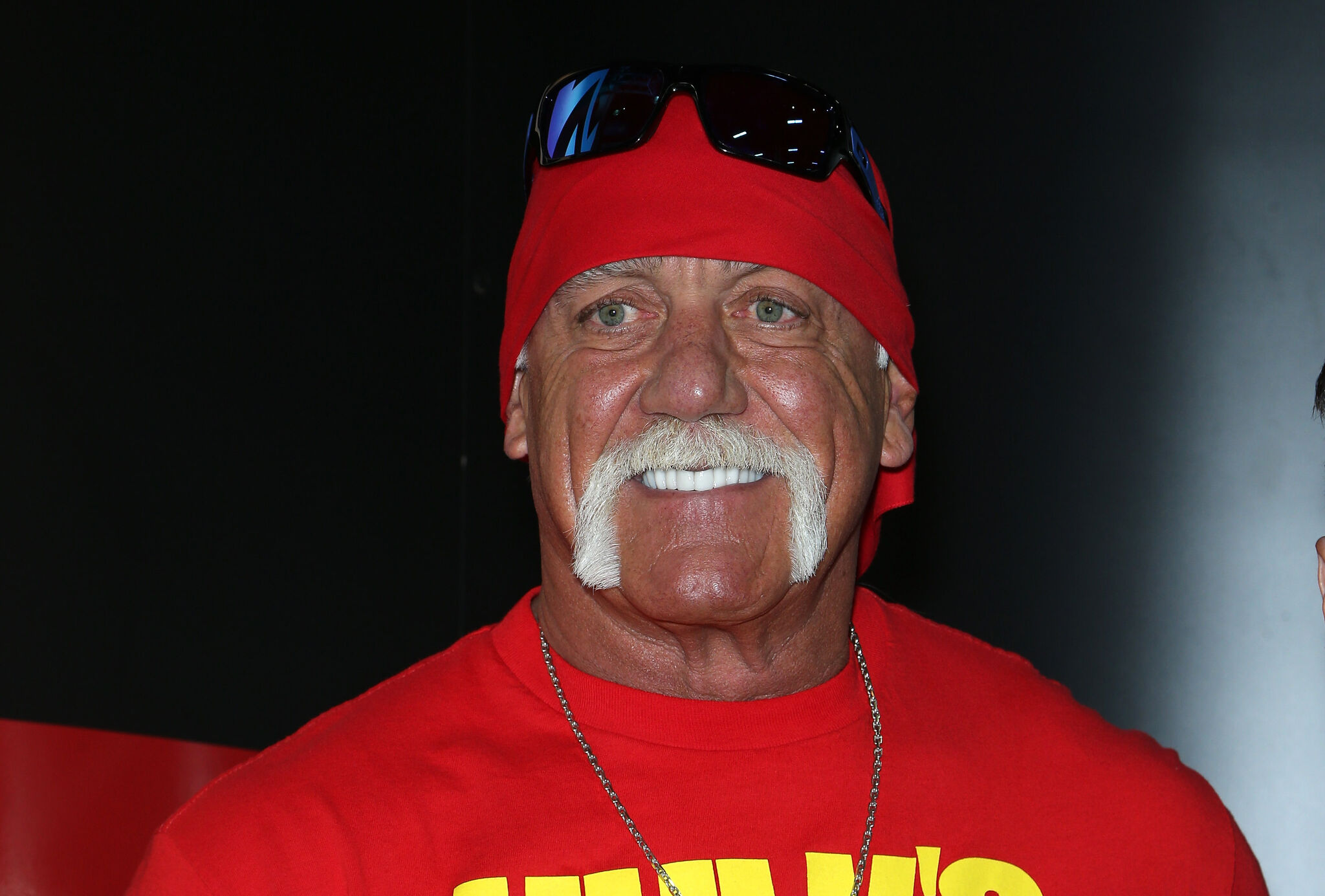 39 Facts about Hulk Hogan - Facts.net