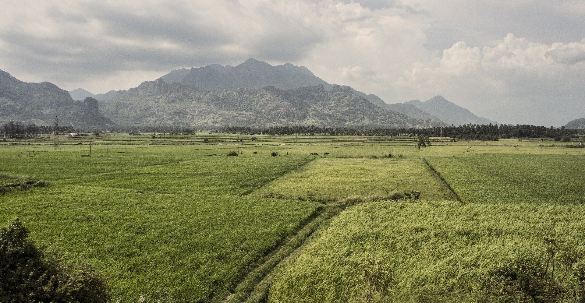 39-facts-about-nagercoil