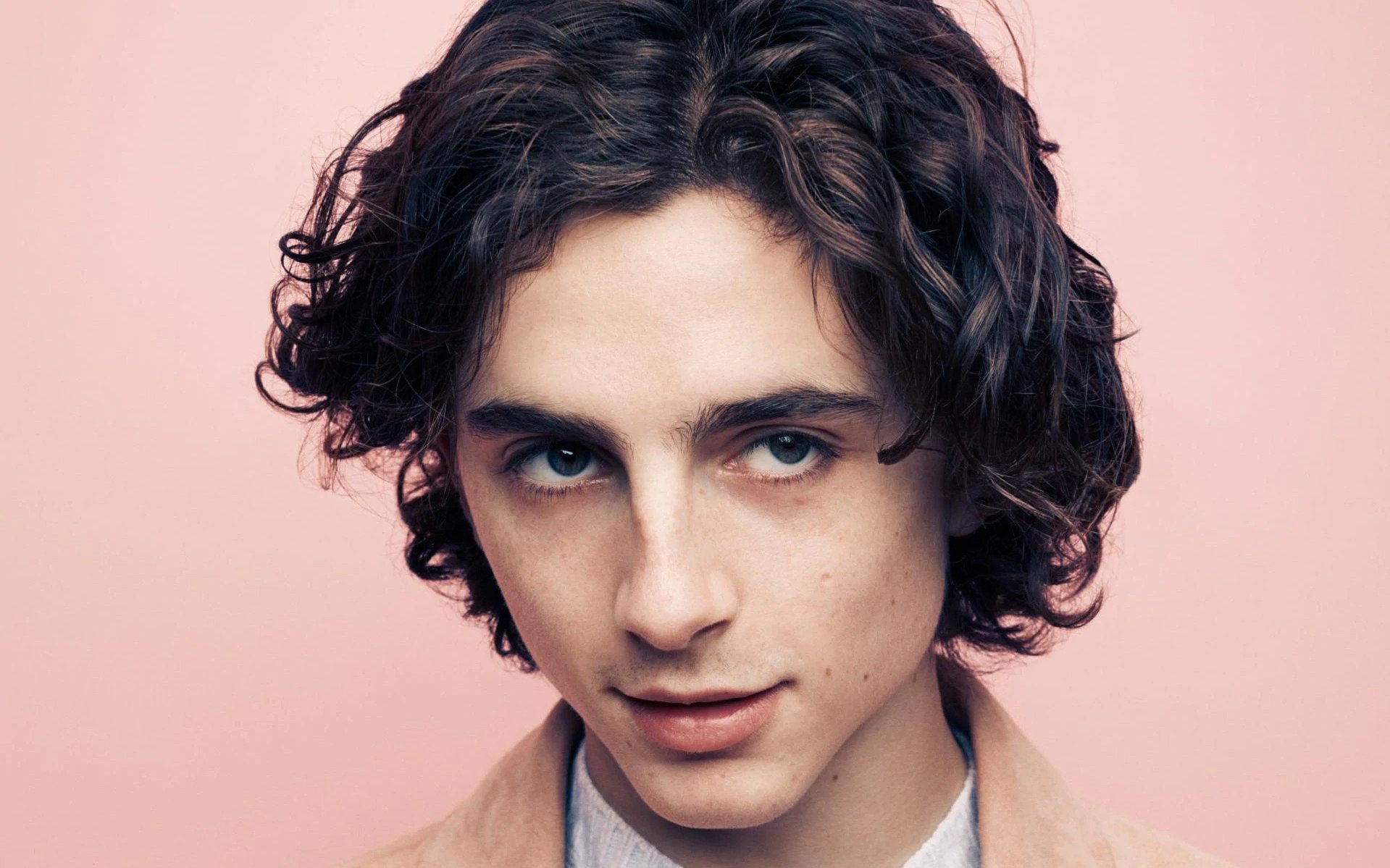 43-facts-about-timothee-chalamet