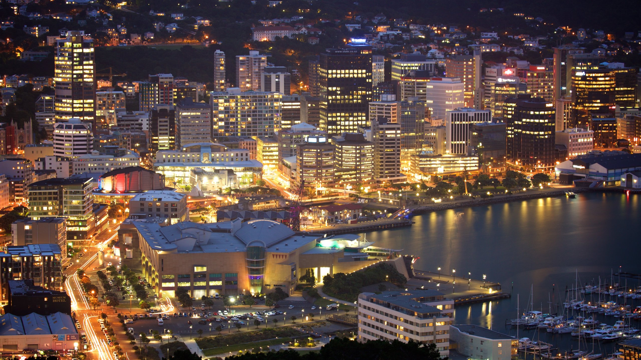 43 Facts About WELLINGTON Facts