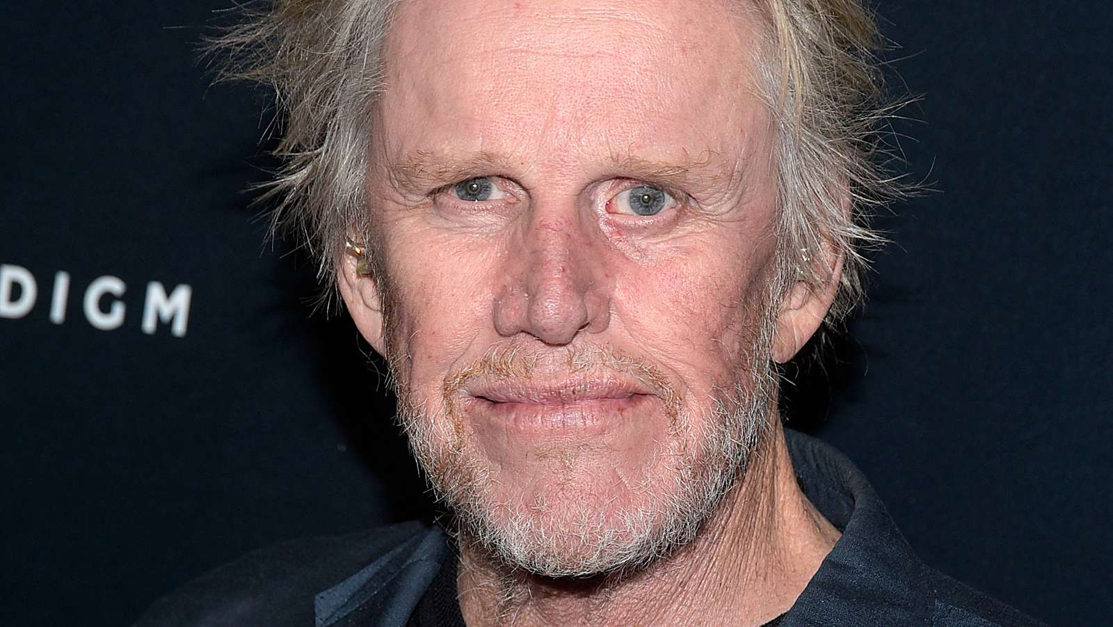 49-facts-about-jake-busey