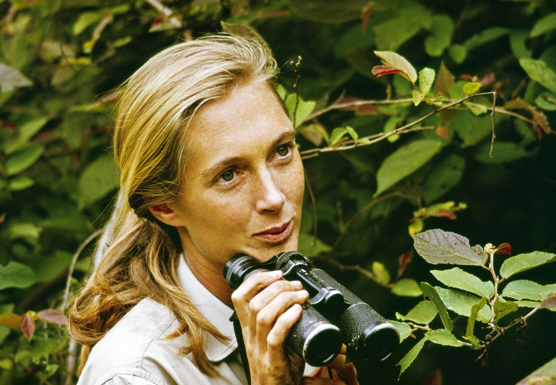 50-facts-about-jane-goodall