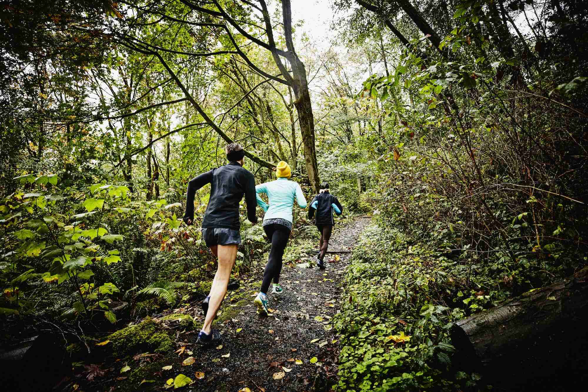 8-facts-about-forest-trail-run
