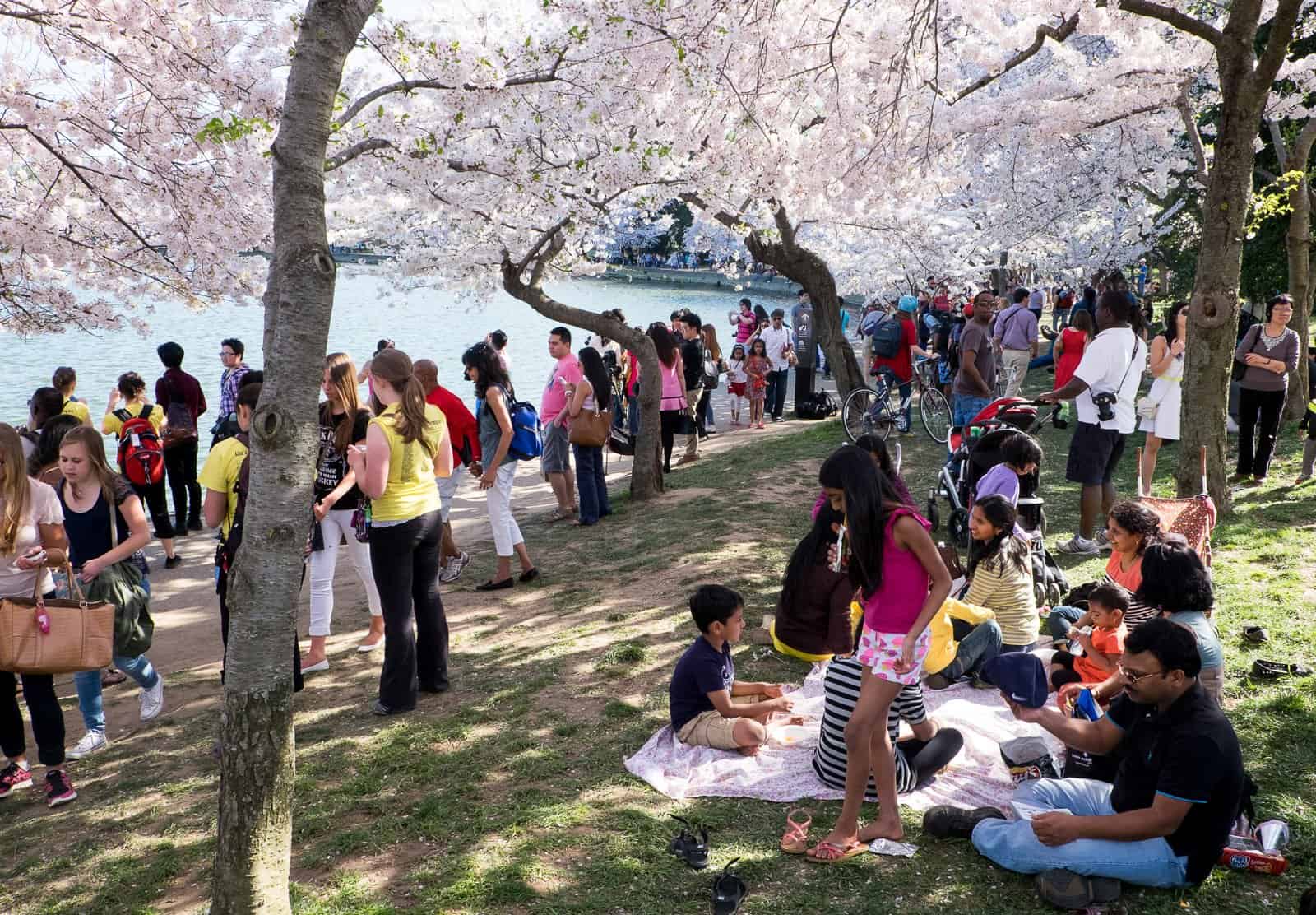 Mark your calendars! The National Cherry Blossom Festival Parade