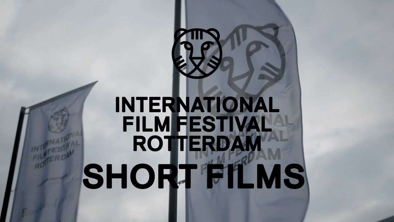 8-facts-about-rotterdam-film-festival