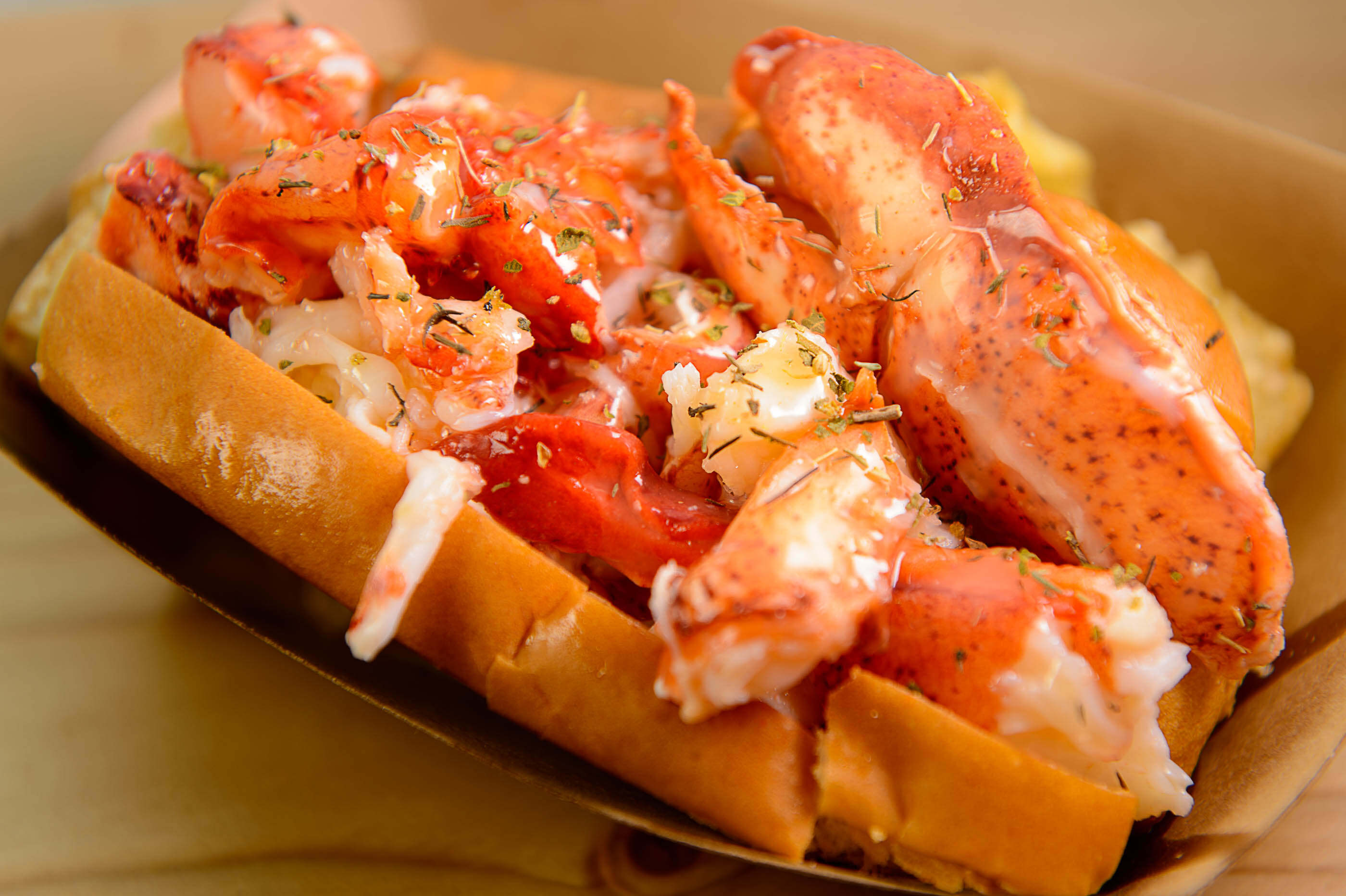 9-facts-about-downeast-lobster-roll-festival