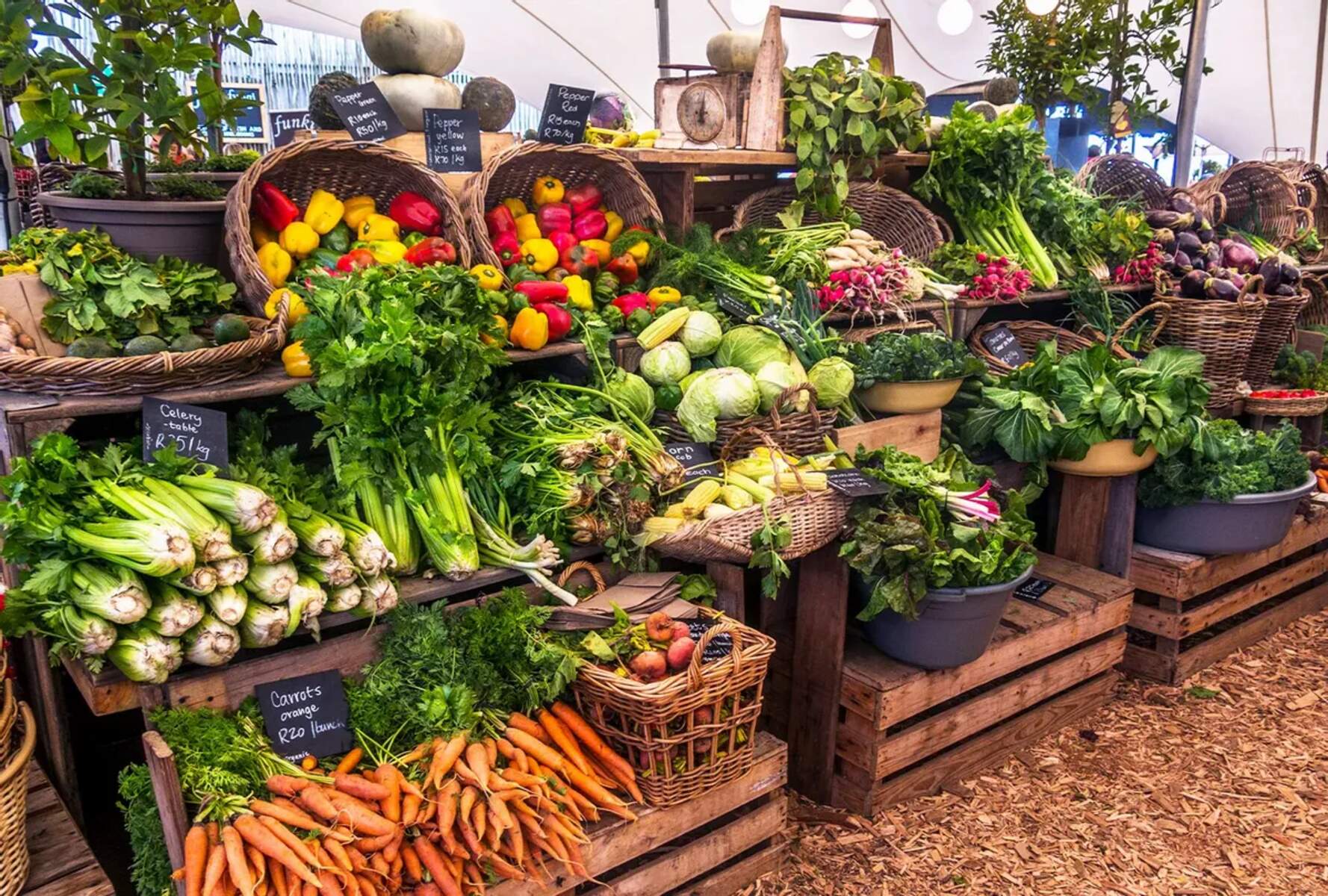9 Facts About Farmers' Market 