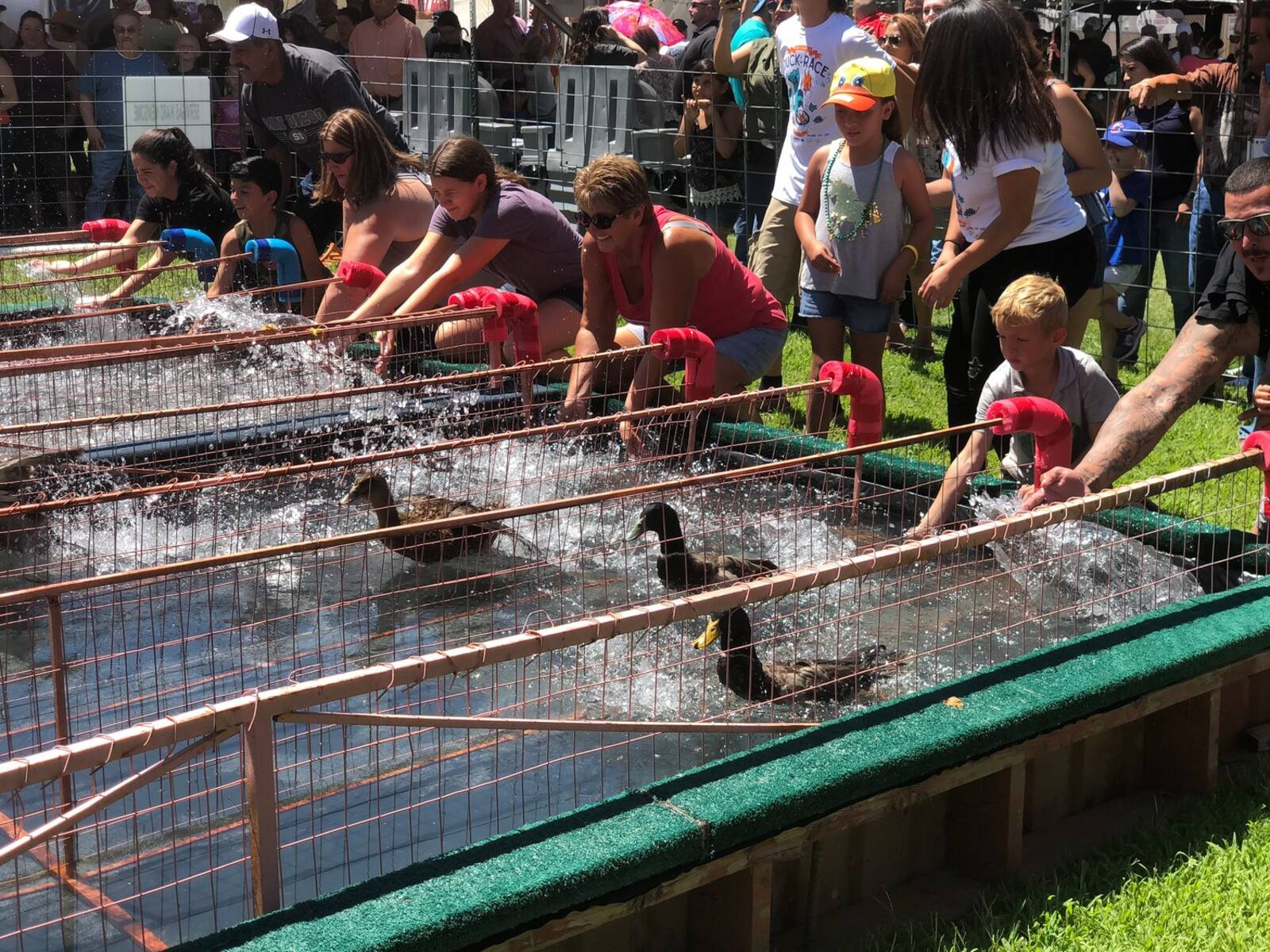 9-facts-about-great-american-duck-race