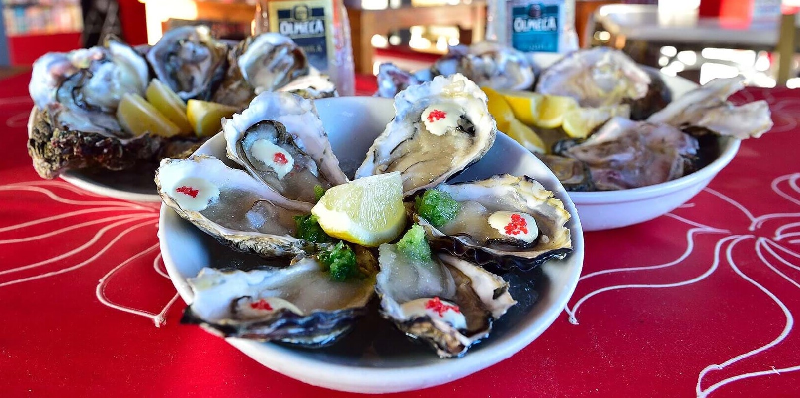 9 Facts About Knysna Oyster Festival