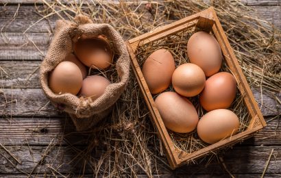 Amazing and Interesting Egg Facts (Infographic) - Farm Flavor