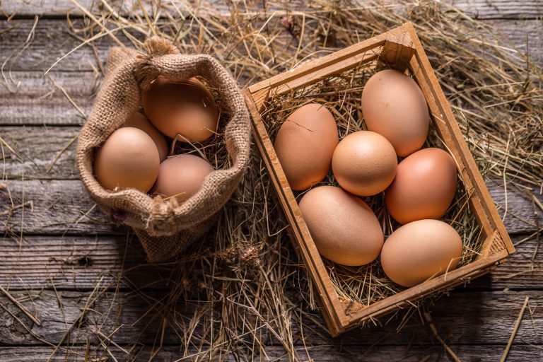 Brown Egg Nutrition Facts 11 Key Benefits and Nutritional Information
