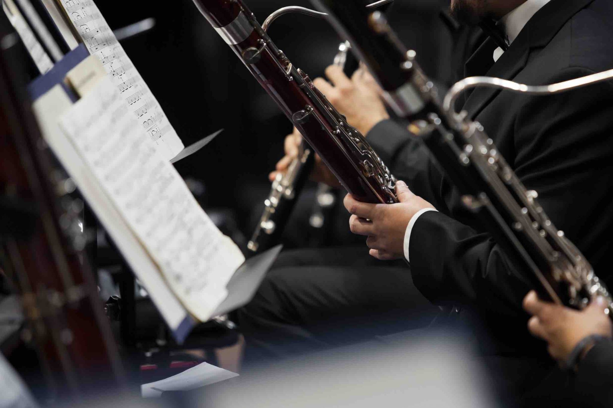 19 Bassoon Facts