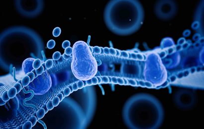 19 Cell Membrane Facts The Wonders of Cellular Boundaries