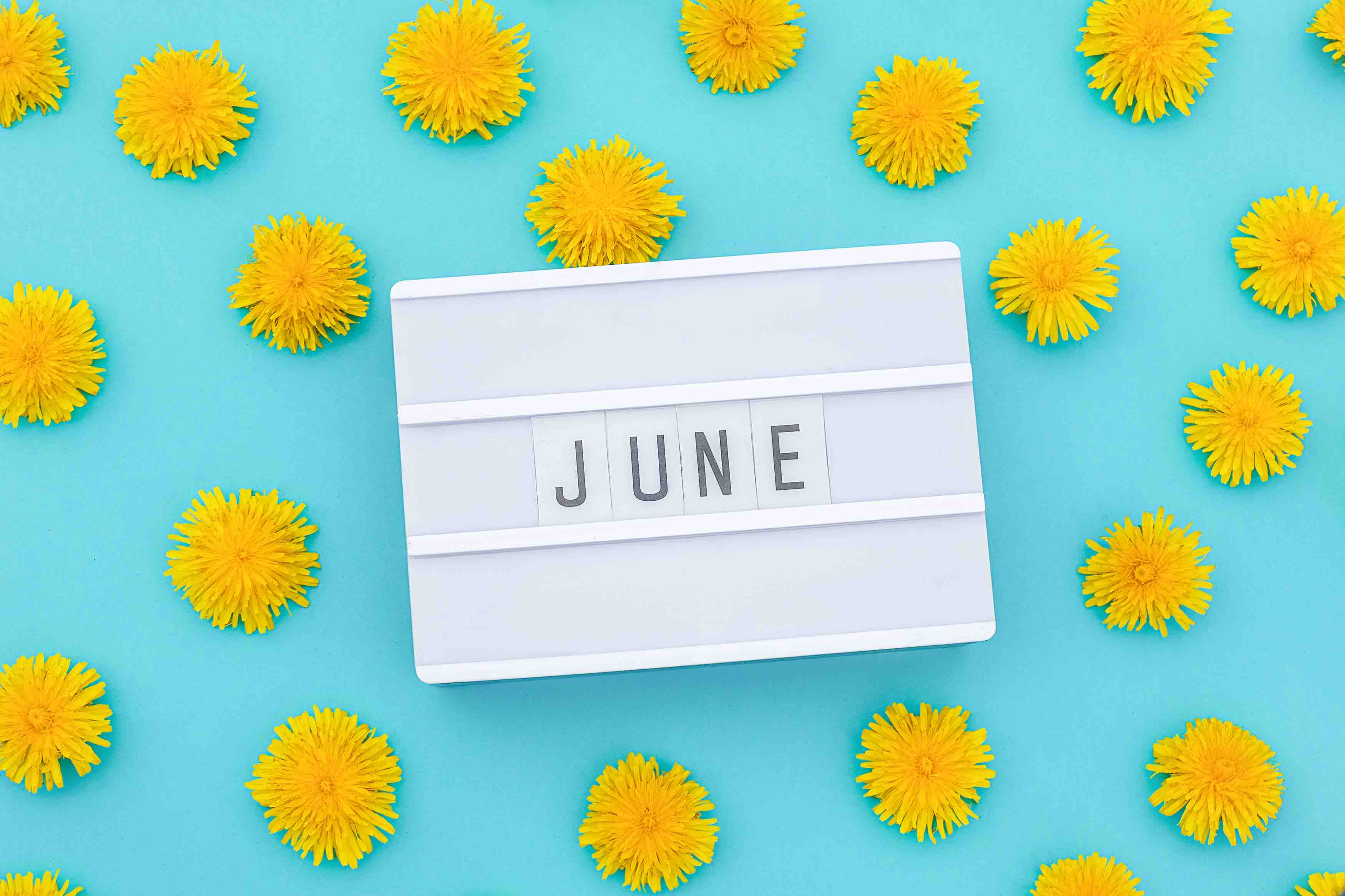 19 Fun Facts About June - Facts.net