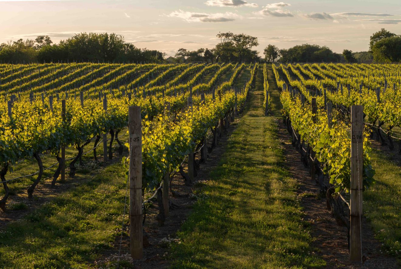 Historical Facts About Long Island