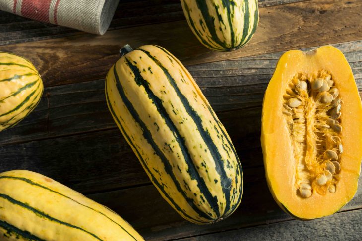 Raw Organic Delicata Squash Ready to Cook With