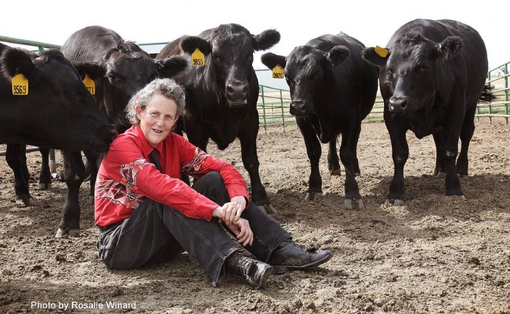 18 Facts About Temple Grandin