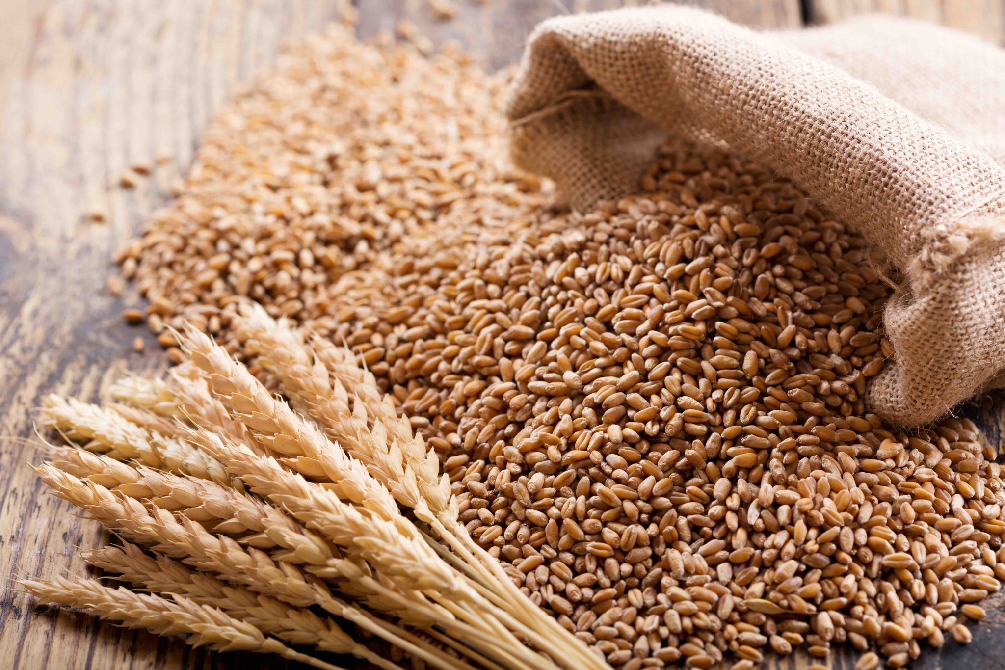 11 Fun Facts About Wheat - Facts.net