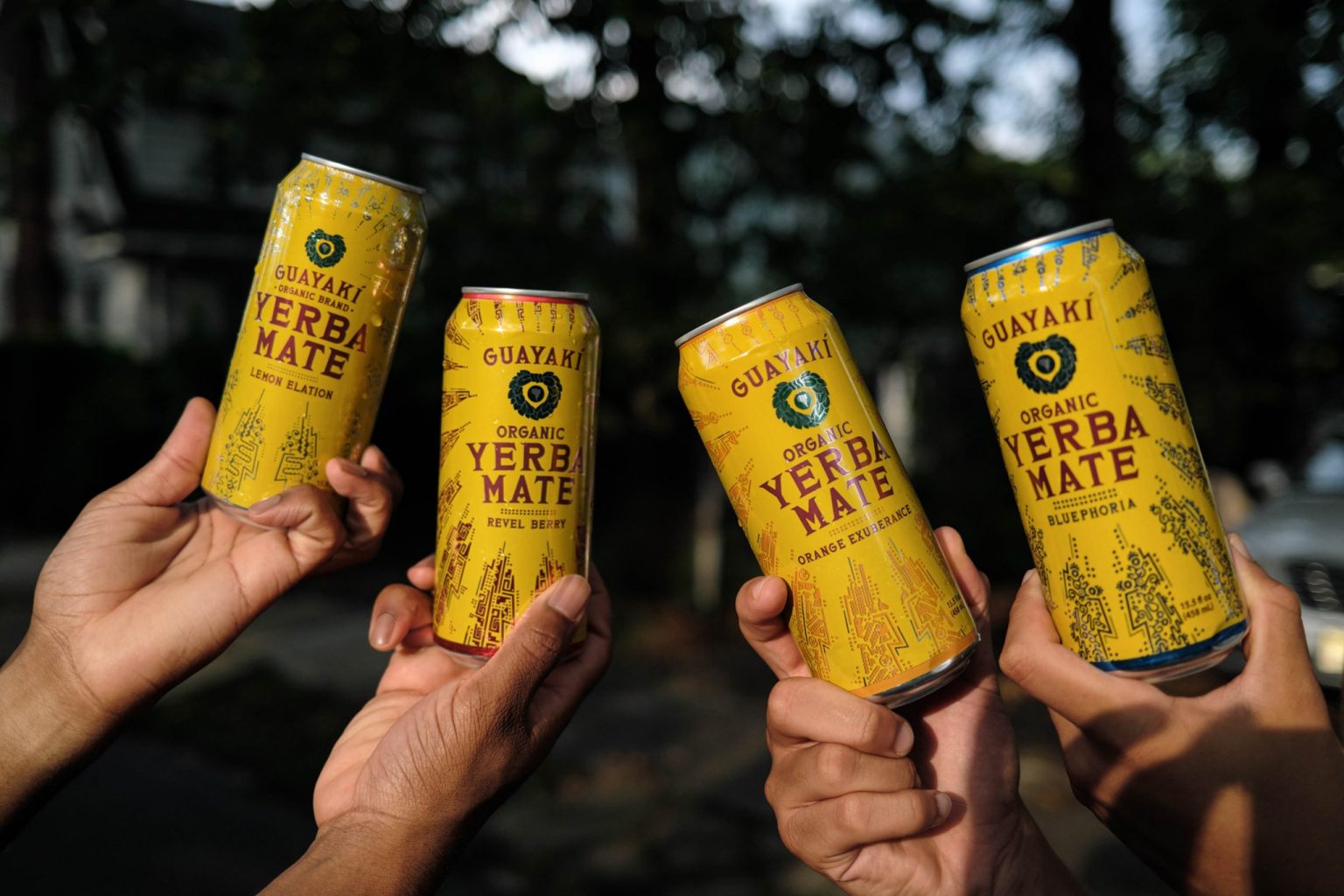 11 Guayaki Yerba Mate Nutrition Facts