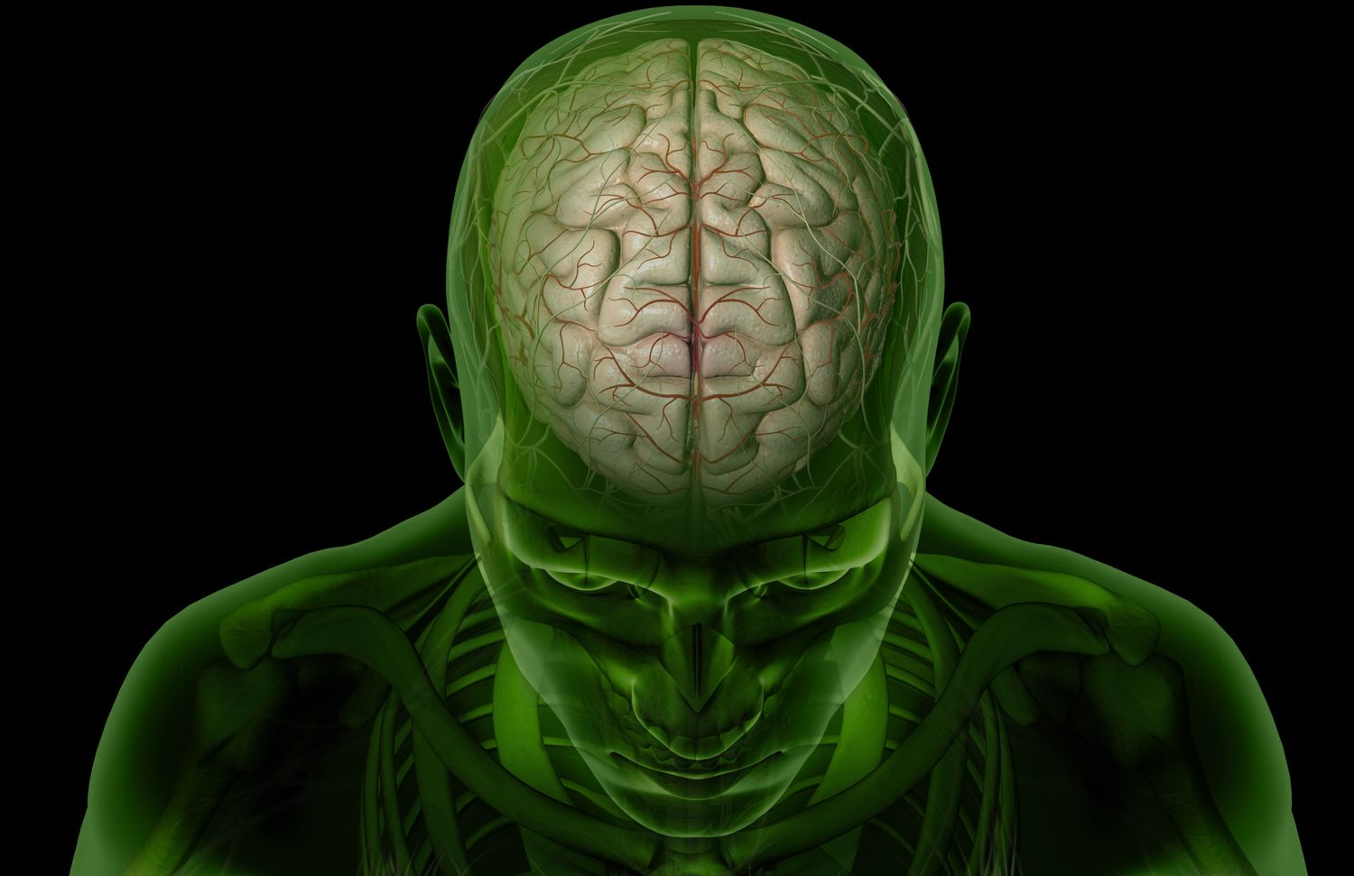10-astounding-facts-about-cerebral-cortex