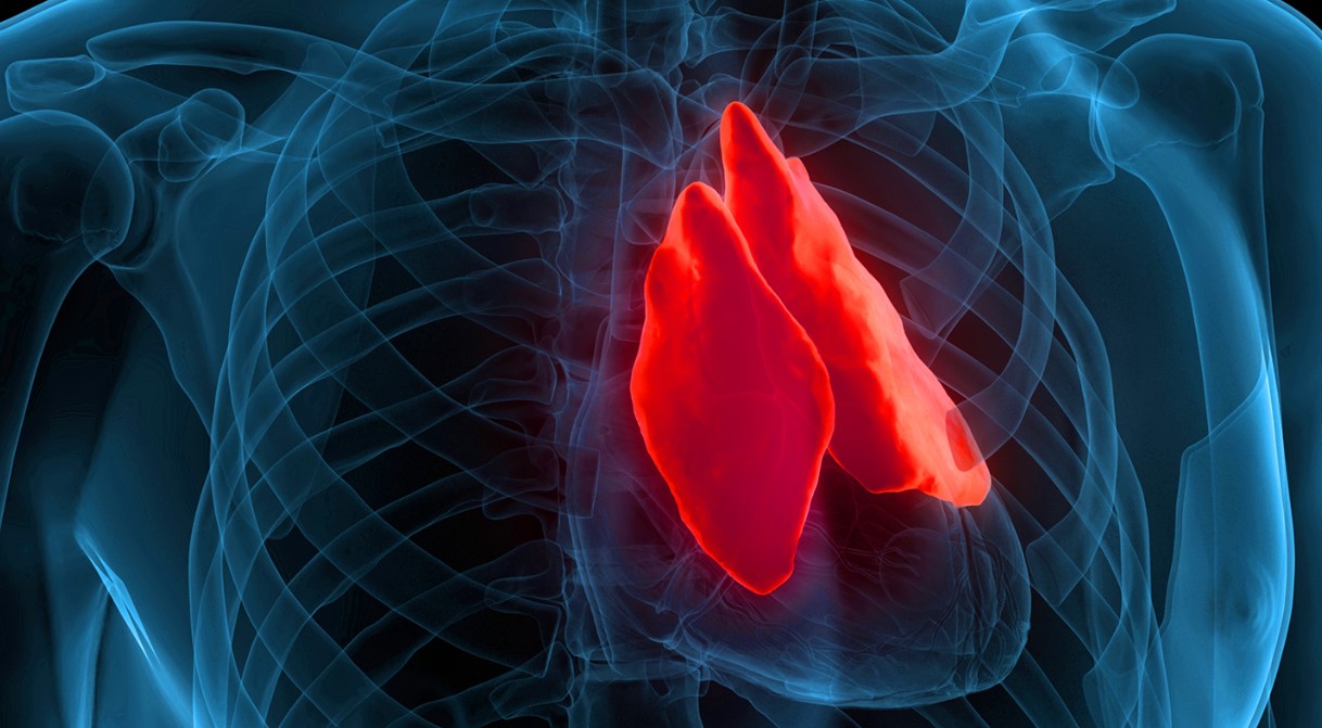 10-enigmatic-facts-about-thymus