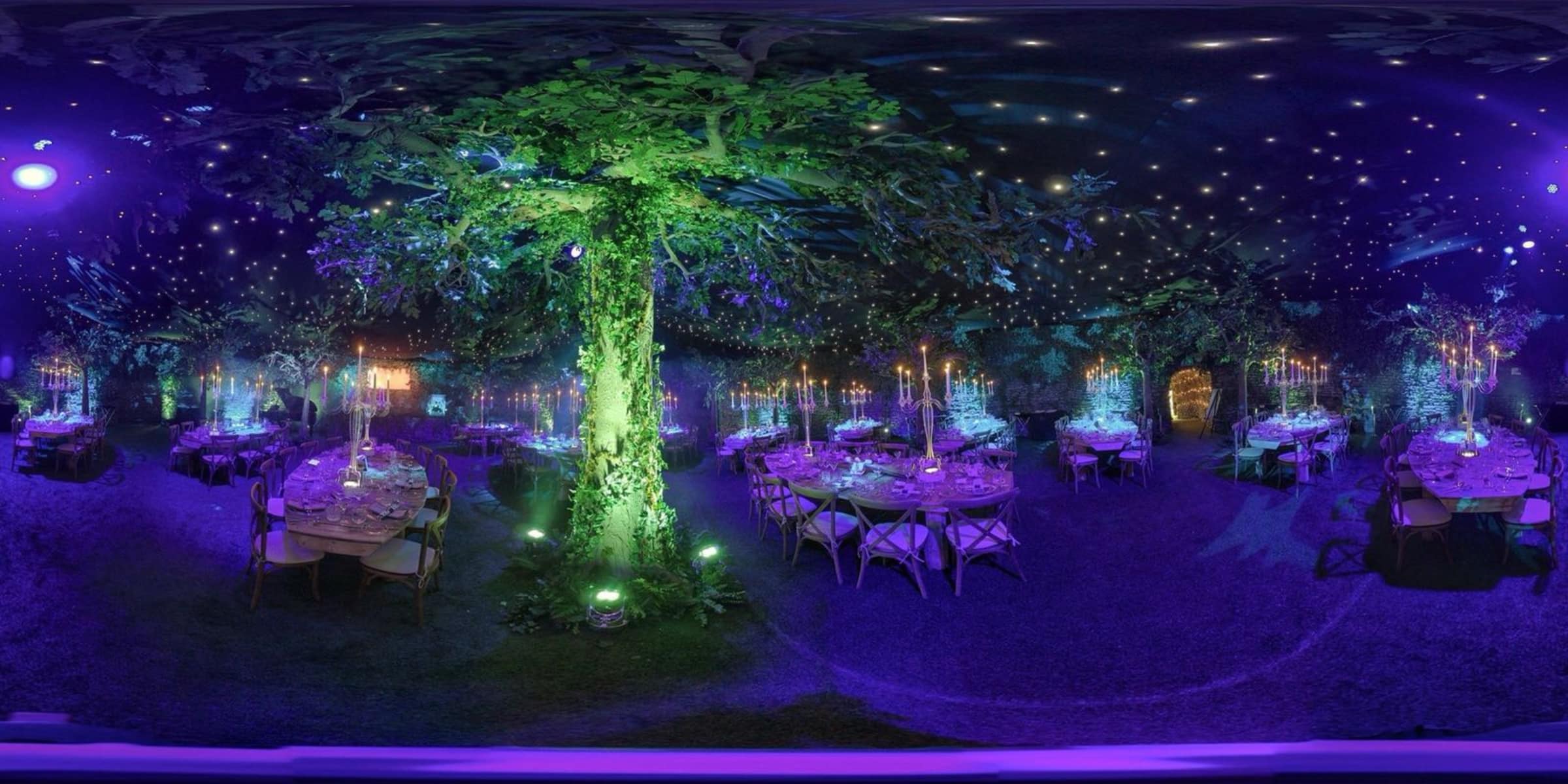 The Event - The Enchanted Forest