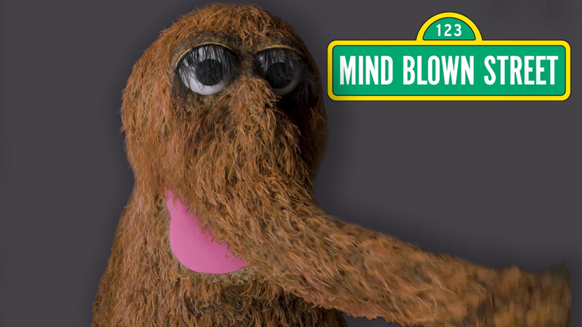 10-facts-about-snuffy-sesame-street