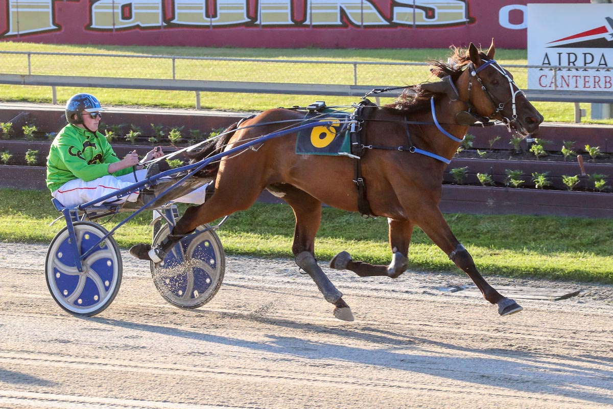 10-facts-about-yonkers-international-trot