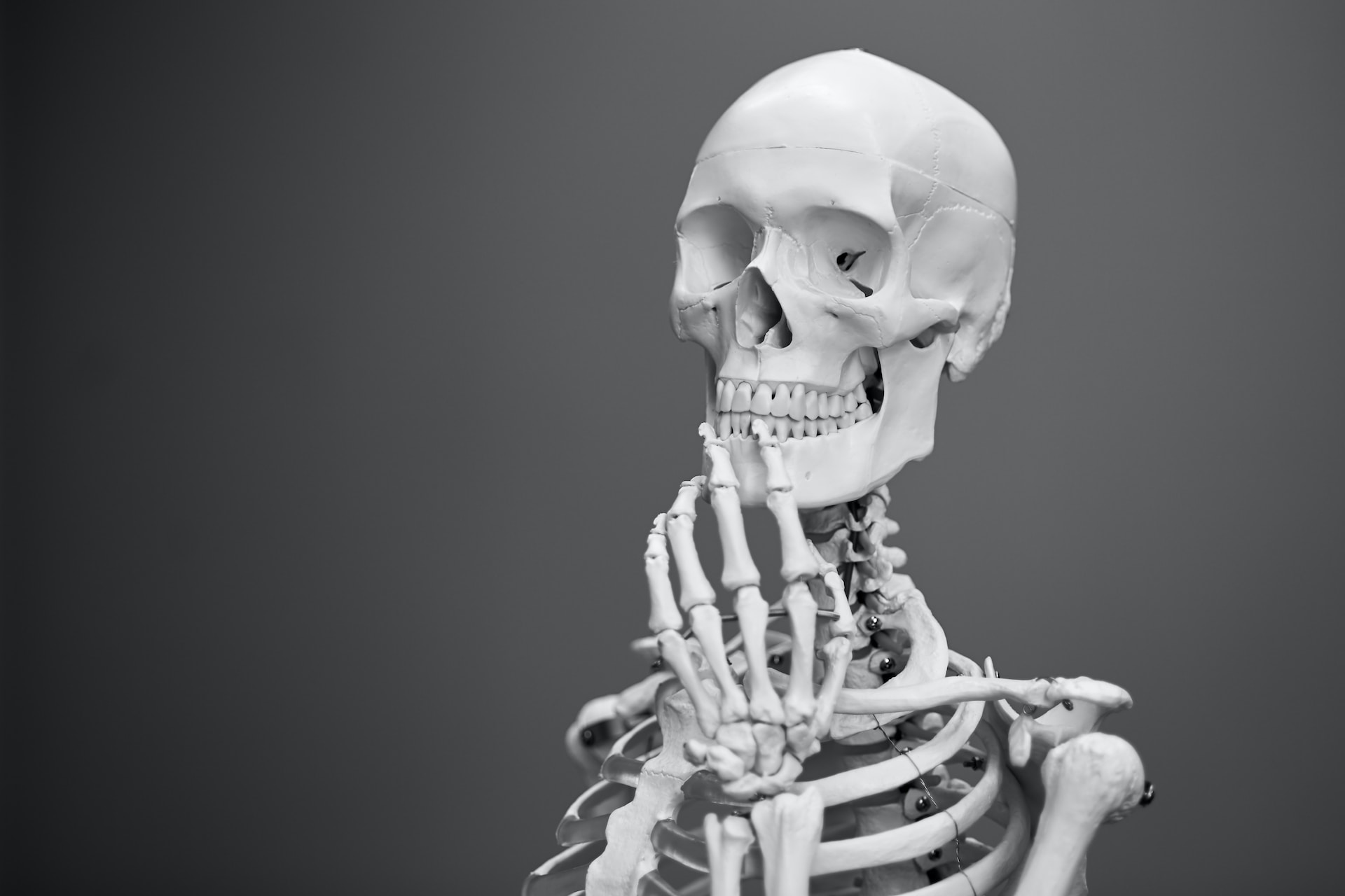 10-mind-blowing-facts-about-skeletal-system