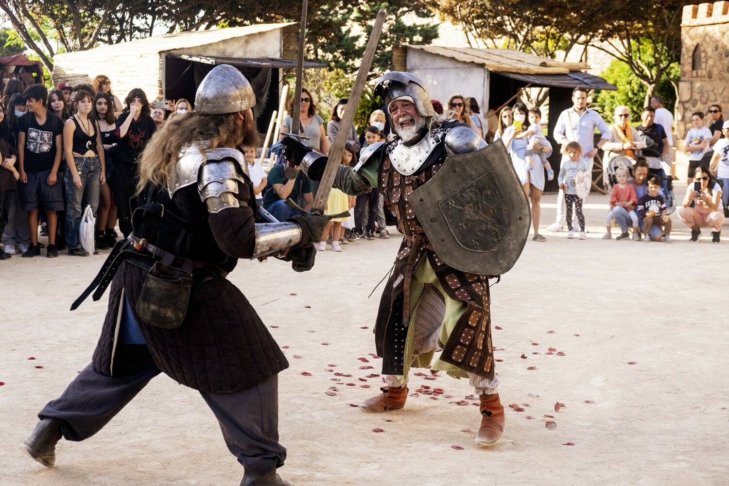 11-facts-about-medieval-festival