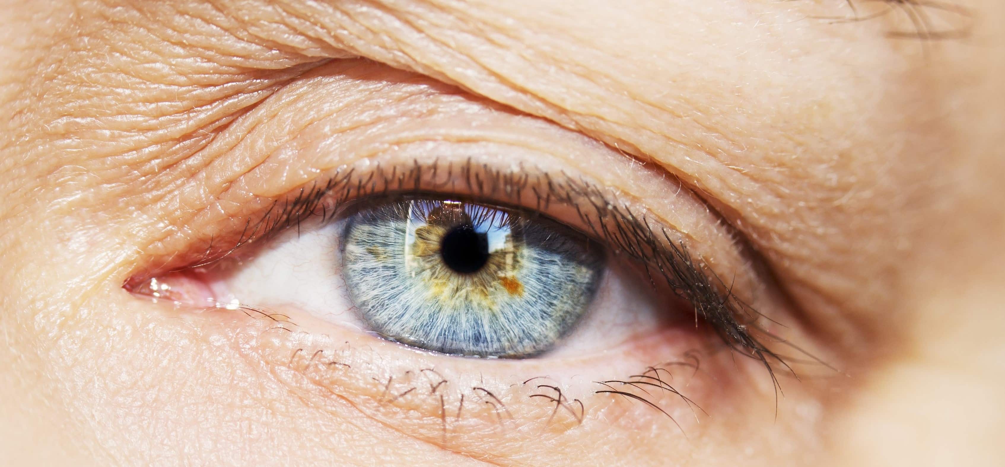 12-captivating-facts-about-eyelid