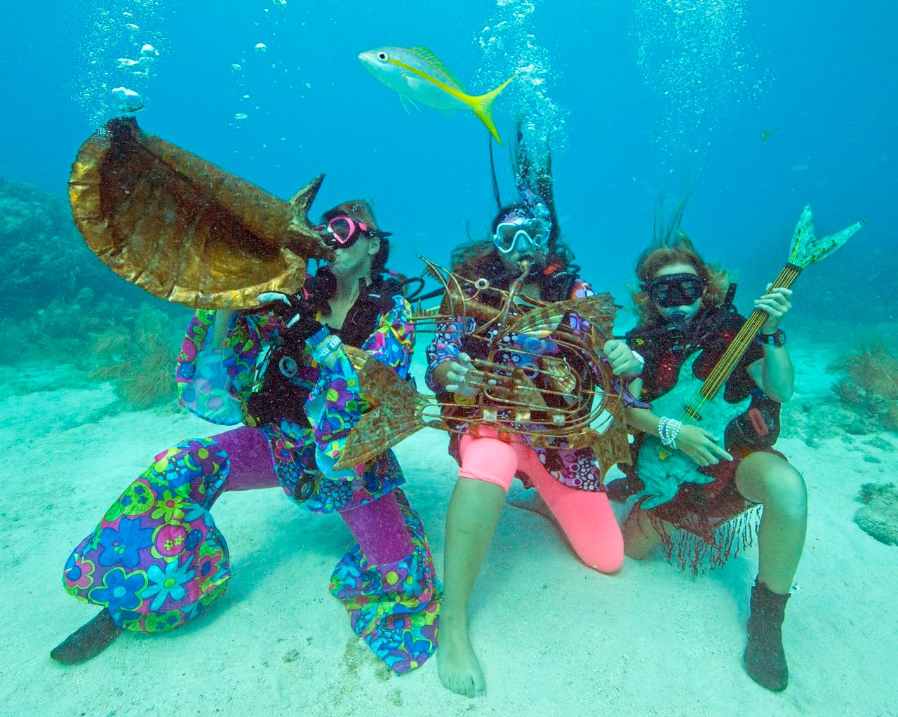 12-facts-about-underwater-music-festival